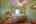 Blurred preview of media: IMG_0031_2_3