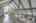 Blurred preview of media: IMG_2472