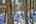 Blurred preview of media: IMG_0527_8_9_easyHDR