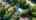 Blurred preview of media: 61
