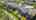 Blurred preview of media: un-67