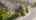 Blurred preview of media: 256