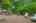 Blurred preview of media: SW Boundary st-45