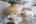 Blurred preview of media: IMG_4825
