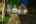 Blurred preview of media: 4Sept0006