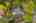 Blurred preview of media: Aerial 13