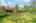Blurred preview of media: 99 Beaver Road Reading Massachusetts Job 39079 0012