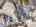 Blurred preview of media: DJI_20250127141847_0137_D_8_D_9_D_easyHDR