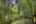 Blurred preview of media: 51-10565_SW_Cormorant_Dr