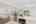 Blurred preview of media: 1600 DYLAN ST web-11