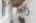 Blurred preview of media: DSC06884
