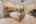 Blurred preview of media: PAX_0638