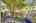 Blurred preview of media: DSC09175