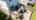 Blurred preview of media: un-64