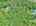 Blurred preview of media: DJI_20260527103635_0026_D_7_D_8_D_easyHDR