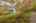 Blurred preview of media: 14