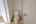 Blurred preview of media: IMG_5486_7_8