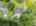 Blurred preview of media: 94 Central Street Andover Massachusetts Job 40242 0076