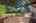 Blurred preview of media: 5742 W Chestnut Ave 00012