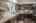 Blurred preview of media: IMG_9827