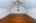 Blurred preview of media: IMG_1811