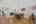 Blurred preview of media: 22-pond-hollow-drive-oak-ridge-nj-usa-house-006