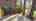 Blurred preview of media: 141Poinsettia-8