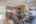 Blurred preview of media: 17