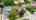 Blurred preview of media: 40