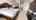 Blurred preview of media: 2-Daffodil-Drive-04112025_181508