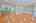 Blurred preview of media: IMG_0745_6_7