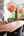 Blurred preview of media: A-12