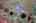 Blurred preview of media: IMG_5117_8_9