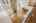 Blurred preview of media: 4-926-0986