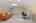 Blurred preview of media: 48 Orchard Drive Stow Massachusetts Job 39583 0042