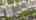 Blurred preview of media: 080