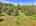 Blurred preview of media: DJI_20250802145730_0721_D_1_0722_D_1_0723_D_easyHDR