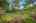Blurred preview of media: 38