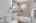 Blurred preview of media: 835 Lansing St 00020