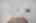 Blurred preview of media: 210 W Glenview-117
