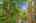 Blurred preview of media: 14