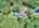 Blurred preview of media: DJI_20250728122430_0419_D_20_D_21_D_easyHDR