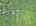 Blurred preview of media: DJI_20260603130700_0230_D_1_D_2_D_easyHDR