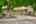 Blurred preview of media: 116 Severin Ave-103