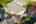 Blurred preview of media: 1030 S Delaware St-137
