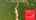 Blurred preview of media: Unknown media