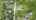 Blurred preview of media: DJI_0349