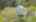 Blurred preview of media: 4