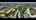 Blurred preview of media: Unknown media