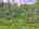 Blurred preview of media: DJI_20250616144001_0792_D_3_D_4_D_easyHDR